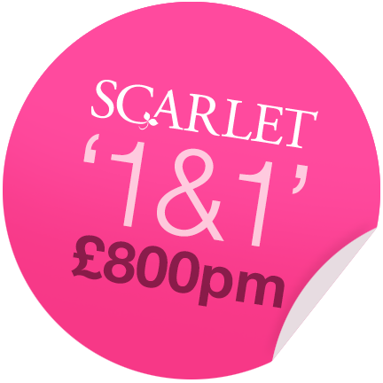 scarlet1and1sticker